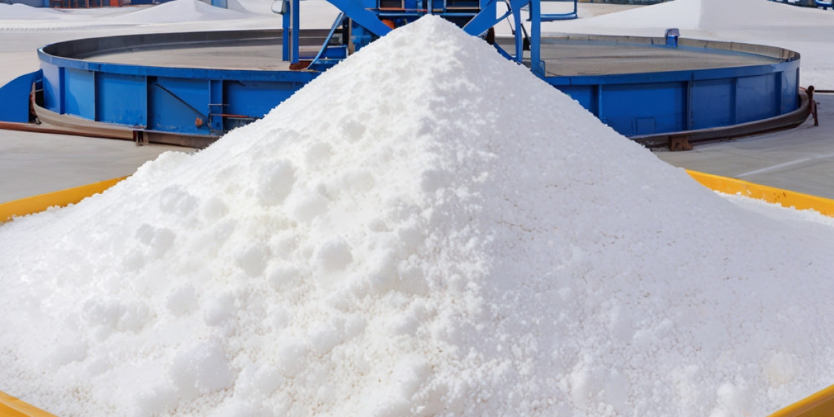 Table Salt  Manufacturing Plant Project Report 2024: Machinery and Raw Materials