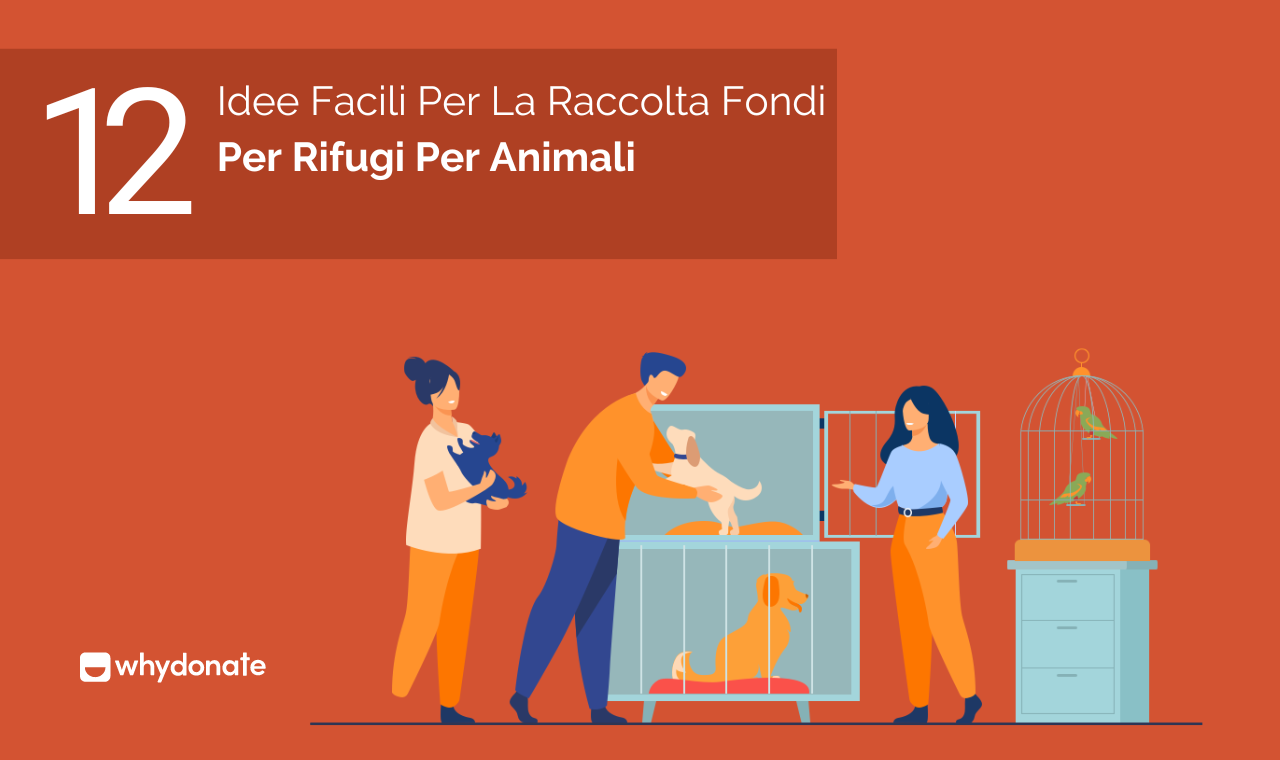 12 Facili Idee Per La Raccolta Fondi Per I Rifugi Per Animali | WhyDonate