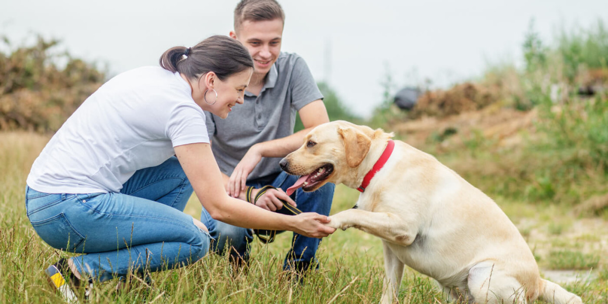 Pet Waste Management: Protecting Your Family and the Environment