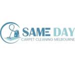 Same Day Carpet Cleaning