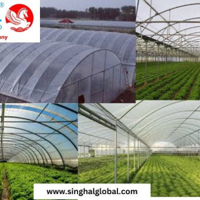 The Role of Greenhouse Films in Agriculture Profile Picture