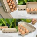 egg cartons inbulk