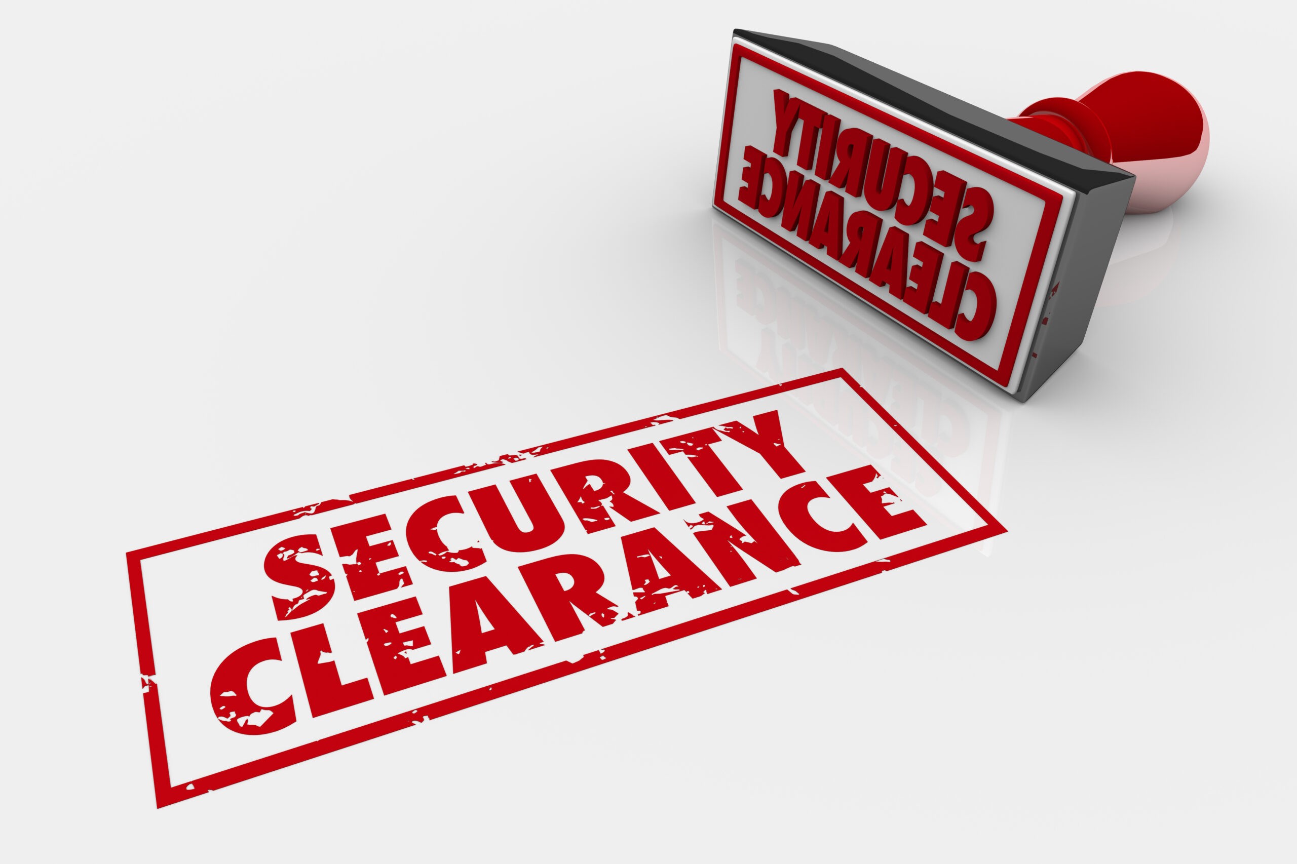 BPSS Clearance: Ensuring Security in Government Jobs