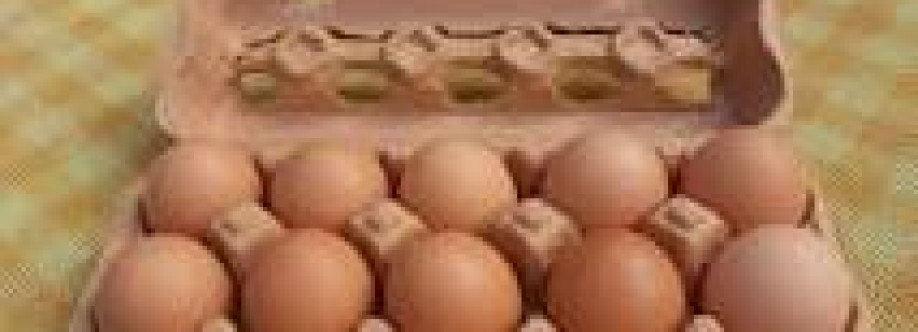 egg cartons inbulk