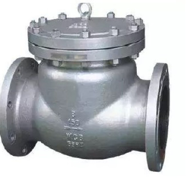 Pressure Seal Swing Check Valve Profile Picture